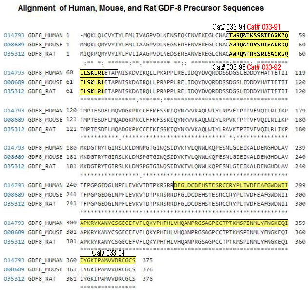 Myostatin alignment for human, rat, mouse